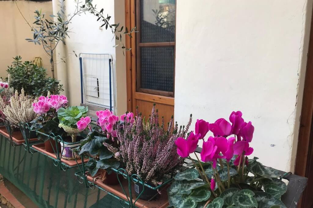 Deluxe Apartment In The Centre Of Florenz Exterior foto